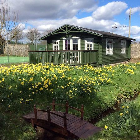 Garden Studio For Two Vila Doune Exterior foto